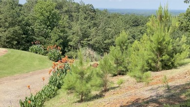 Stunning *Mountain Top View* lot. The incredible Sunset views - photo 7