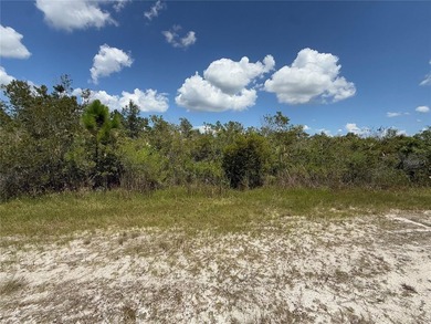 A prime North West corner lot located within the development - photo 3
