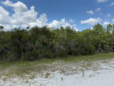 A prime North West corner lot located within the development - photo 4