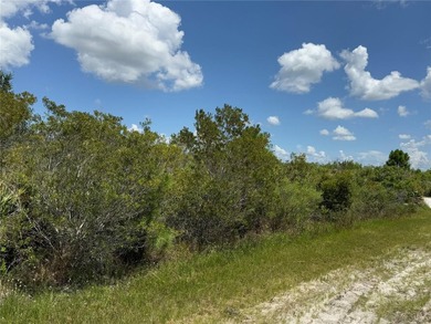 A prime North West corner lot located within the development - photo 5