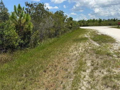 A prime North West corner lot located within the development - photo 7