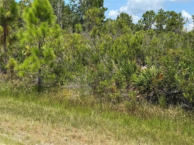 A prime North West corner lot located within the development - photo 8