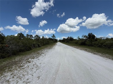 A prime North West corner lot located within the development - photo 9