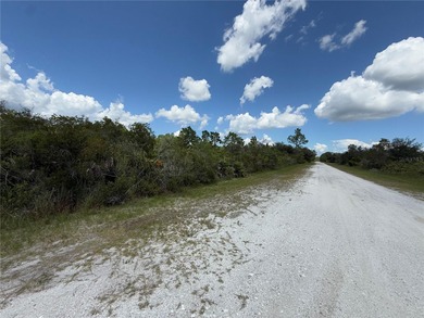 A prime North West corner lot located within the development - photo 10