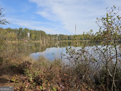 Rock Cabin Lake Acreage For Sale in Newnan Georgia