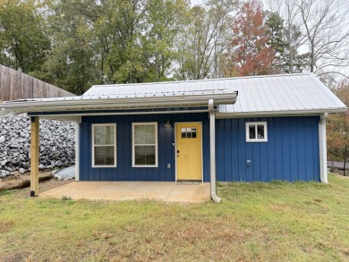 Lake Auction For Sale in Buchanan, Tennessee