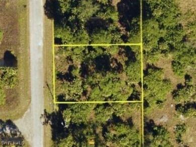 Lehigh Acres Area Lot For Sale in Lehigh Acres Florida