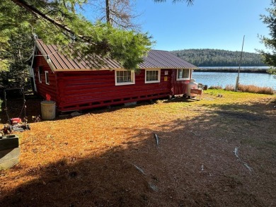 Lake Home For Sale in Scopan Twp, Maine