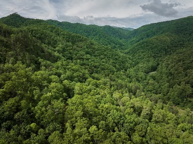 Nestled beside the Nantahala National Forest, this private - photo 14