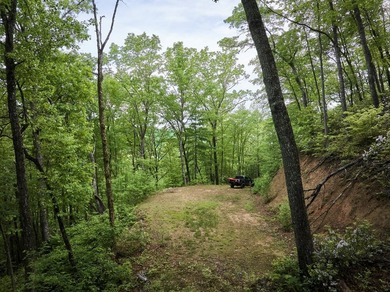 Nestled beside the Nantahala National Forest, this private - photo 15