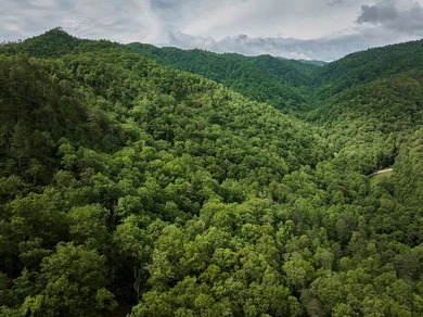 Nestled beside the Nantahala National Forest, this private - photo 17
