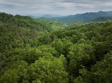 Nestled beside the Nantahala National Forest, this private - photo 18