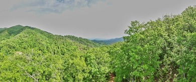 Nestled beside the Nantahala National Forest, this private - photo 19