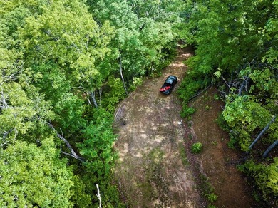 Nestled beside the Nantahala National Forest, this private - photo 20