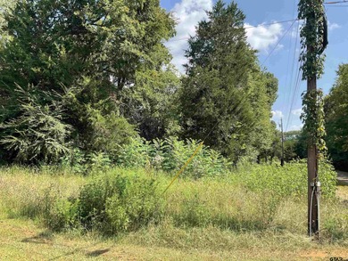 Lake Palestine Lot For Sale in Bullard Texas