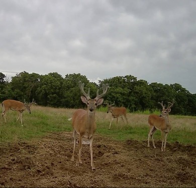 Located just 6 miles west of Henryetta, this top-tier, turnkey - photo 34