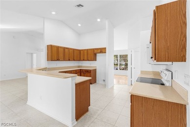 Exceptional Gulf Access opportunity in beautiful Cape Coral! - photo 9