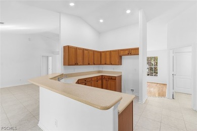 Exceptional Gulf Access opportunity in beautiful Cape Coral! - photo 10