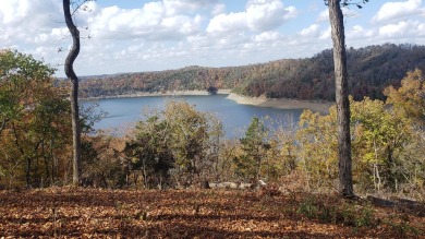 Lake Acreage For Sale in Monticello, Kentucky