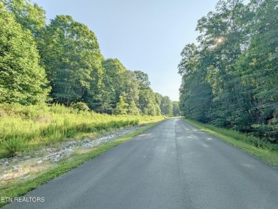Lake Acreage For Sale in Rockwood, Tennessee