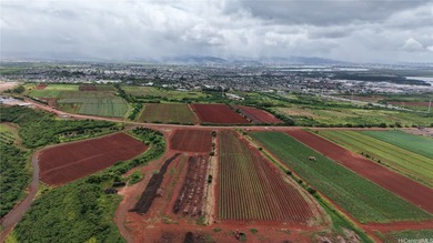 VERY RARE Great opportunity to own over 12 acres of AG land in - photo 4