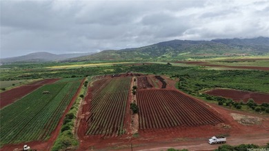 VERY RARE Great opportunity to own over 12 acres of AG land in - photo 6
