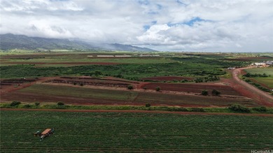 VERY RARE Great opportunity to own over 12 acres of AG land in - photo 7