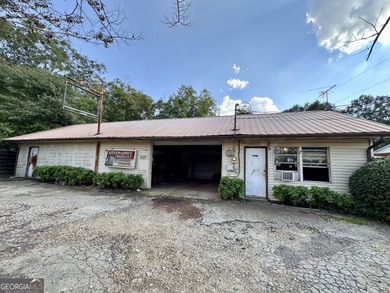 Lake Lanier Commercial For Sale in Gainesville Georgia