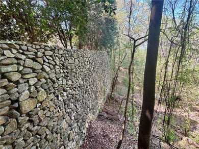 Welcome to the most exclusive, private lot available in all of - photo 33