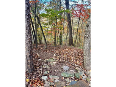 Welcome to the most exclusive, private lot available in all of - photo 43