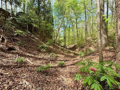 Welcome to the most exclusive, private lot available in all of - photo 45