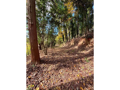 Welcome to the most exclusive, private lot available in all of - photo 50