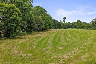 This lot is in the prestigious Peninsulas at Lake Bob Sandlin - photo 4