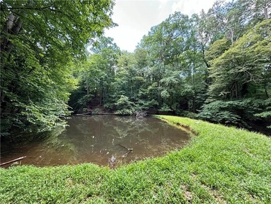 Welcome to the most exclusive, private lot available in all of - photo 58