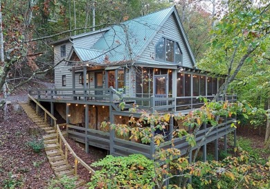 Lake Home For Sale in Blue Ridge, Georgia