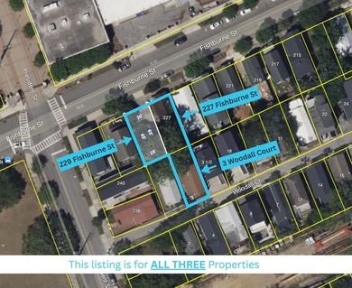 THREE Properties! Rare Downtown Opportunity - 227 Fishburne St - photo 2