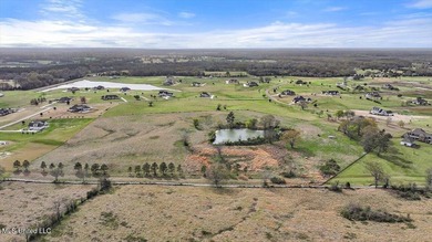 Come build your custom, dream home on this huge - photo 22