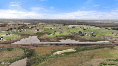 Come build your custom, dream home on this huge - photo 23
