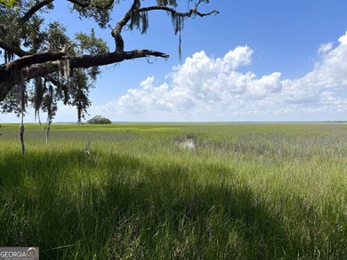 Deepwater living at its most exclusive! This is the largest - photo 5