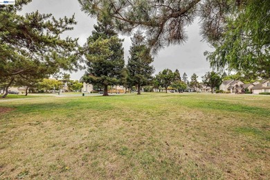 Gorgeous CA Terrace Park home in desirable Niles area! This move - photo 30