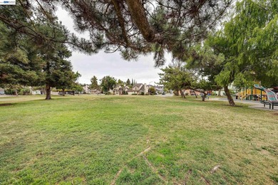 Gorgeous CA Terrace Park home in desirable Niles area! This move - photo 31