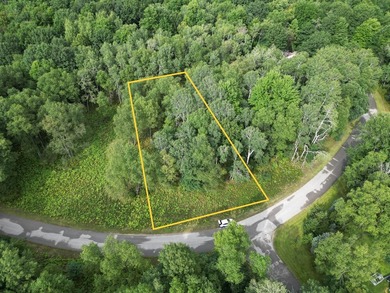 (private lake, pond, creek) Lot For Sale in Canadian Lakes Michigan