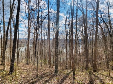 Lake Lot For Sale in Byrdstown, Tennessee