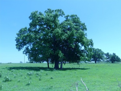 135 acres of gently rolling north Texas pastureland. The almost - photo 36