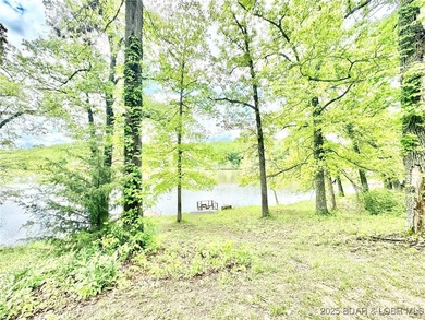 Welcome to Lake Placid! This 3 bed & 1.5 bath home has a - photo 42