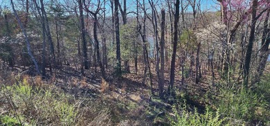 Lake Lot For Sale in Cherokee Village, Arkansas