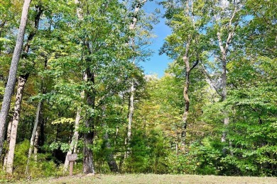 Montag Lake  Acreage For Sale in Ellijay Georgia