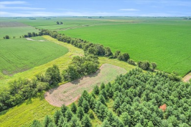 Lake Acreage Sale Pending in Fisher, Illinois