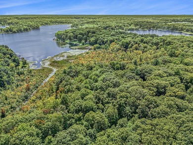 Saddle Lake Acreage For Sale in Grand Junction Michigan