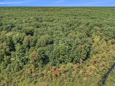 Discover your own private getaway on beautiful Saddle Lake! This - photo 3